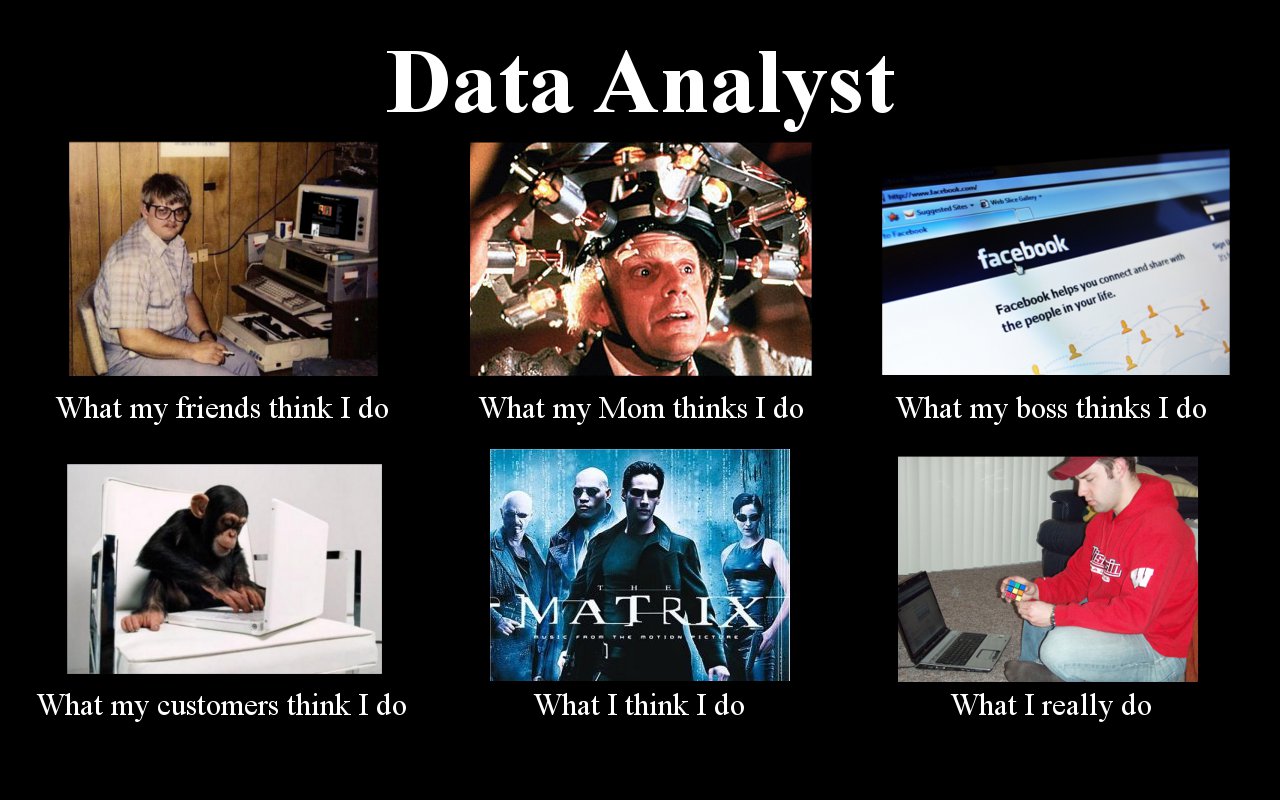 Data analyst